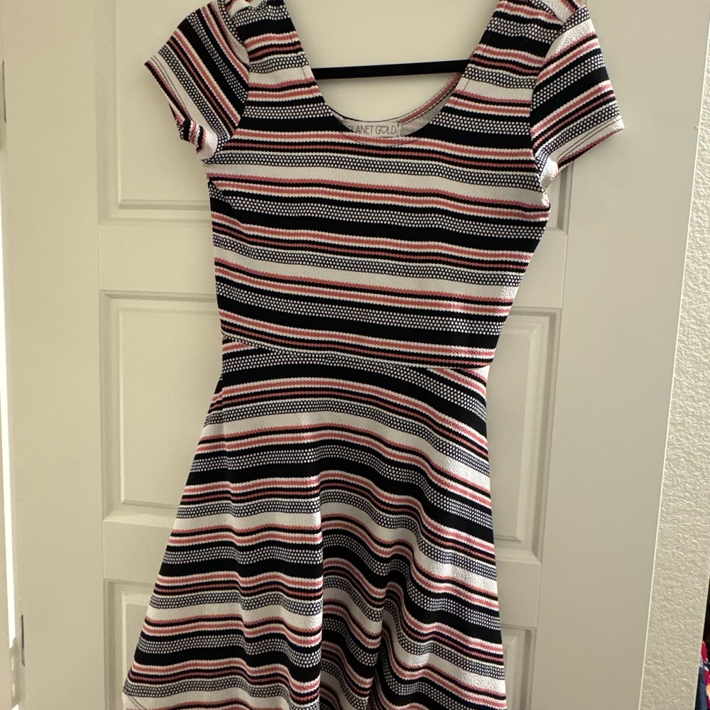 Planet Gold Pink and Black Fit and Flare Mini Dress